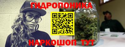мяу мяу мука Кандалакша