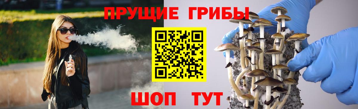 Галлюциногенные грибы Psilocybe  Вход с VPN  Тулун 