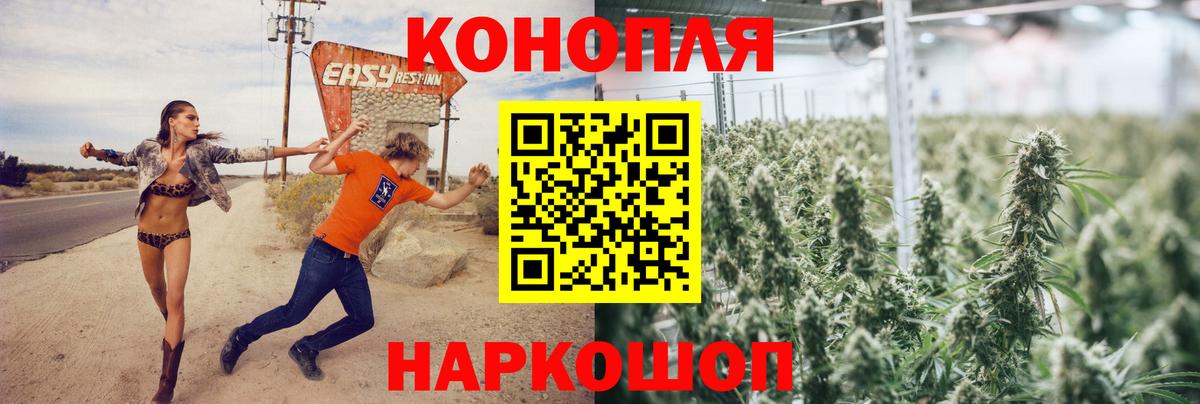 Бошки марихуана индика  Вход с VPN  Каннабис тримм  Тулун 